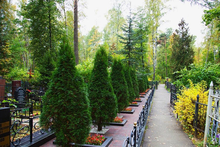 Бабушкинское кладбище